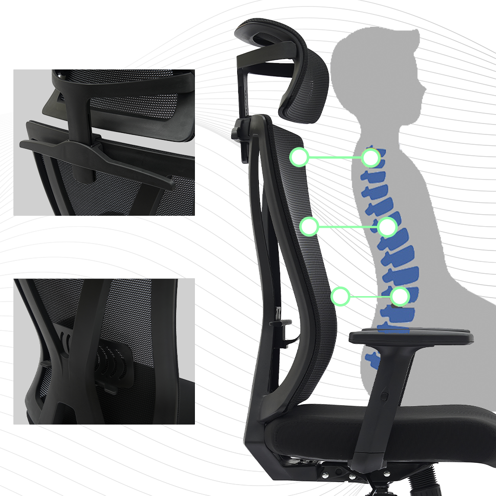 Wsparcie kręgosłupa fotela AX918