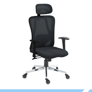 PAMPEYE Fotel Biurowy Obrotowy Ergonomiczny model: 100 - Krzesło do Domu, Biura