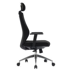 PAMPEYE Fotel Biurowy Obrotowy Ergonomiczny model: 600 - Krzesło do Domu, Biura