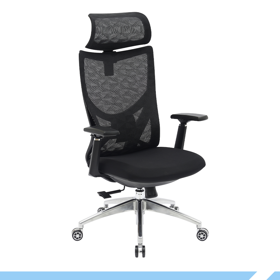 PAMPEYE Fotel Biurowy Obrotowy Ergonomiczny AX800 - Krzesło do Domu, Biura