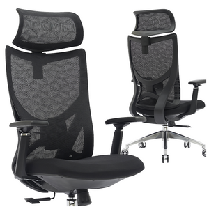 PAMPEYE Fotel Biurowy Obrotowy Ergonomiczny AX800 - Krzesło do Domu, Biura