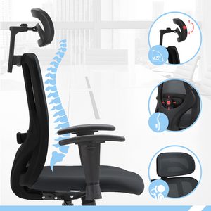 PAMPEYE Fotel Biurowy Obrotowy Ergonomiczny model: 100 - Krzesło do Domu, Biura