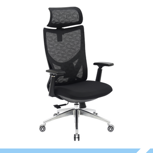 PAMPEYE Fotel Biurowy Obrotowy Ergonomiczny AX800 - Krzesło do Domu, Biura