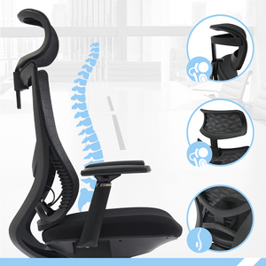 PAMPEYE Fotel Biurowy Obrotowy Ergonomiczny AX800 - Krzesło do Domu, Biura