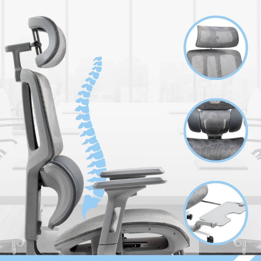 PAMPEYE Fotel Biurowy Obrotowy Ergonomiczny model: 200 - Krzesło do Domu, Biura