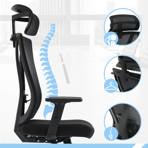 PAMPEYE Fotel Biurowy Obrotowy Ergonomiczny model: 918 - Krzesło do Domu, Biura