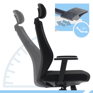 PAMPEYE Fotel Biurowy Obrotowy Ergonomiczny model: 600 - Krzesło do Domu, Biura