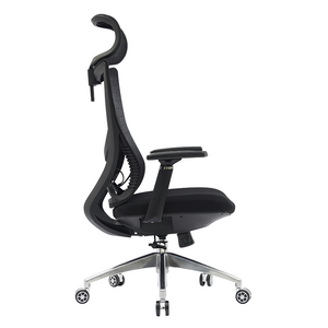 PAMPEYE Fotel Biurowy Obrotowy Ergonomiczny AX800 - Krzesło do Domu, Biura