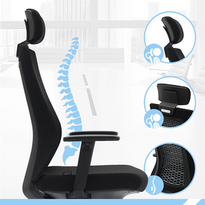 PAMPEYE Fotel Biurowy Obrotowy Ergonomiczny model: 600 - Krzesło do Domu, Biura